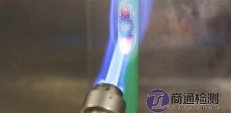 EN 50266-2-4測試 EN 50266-2-4測試